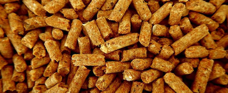Pelet Yem Nedir? Faydaları ve Kullanım Alanları
