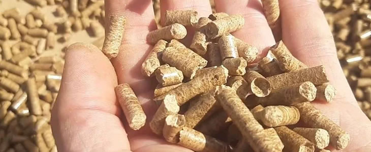 Pelet Yem Makinesi Alırken Dikkat Edilmesi Gereken 7 Faktör
